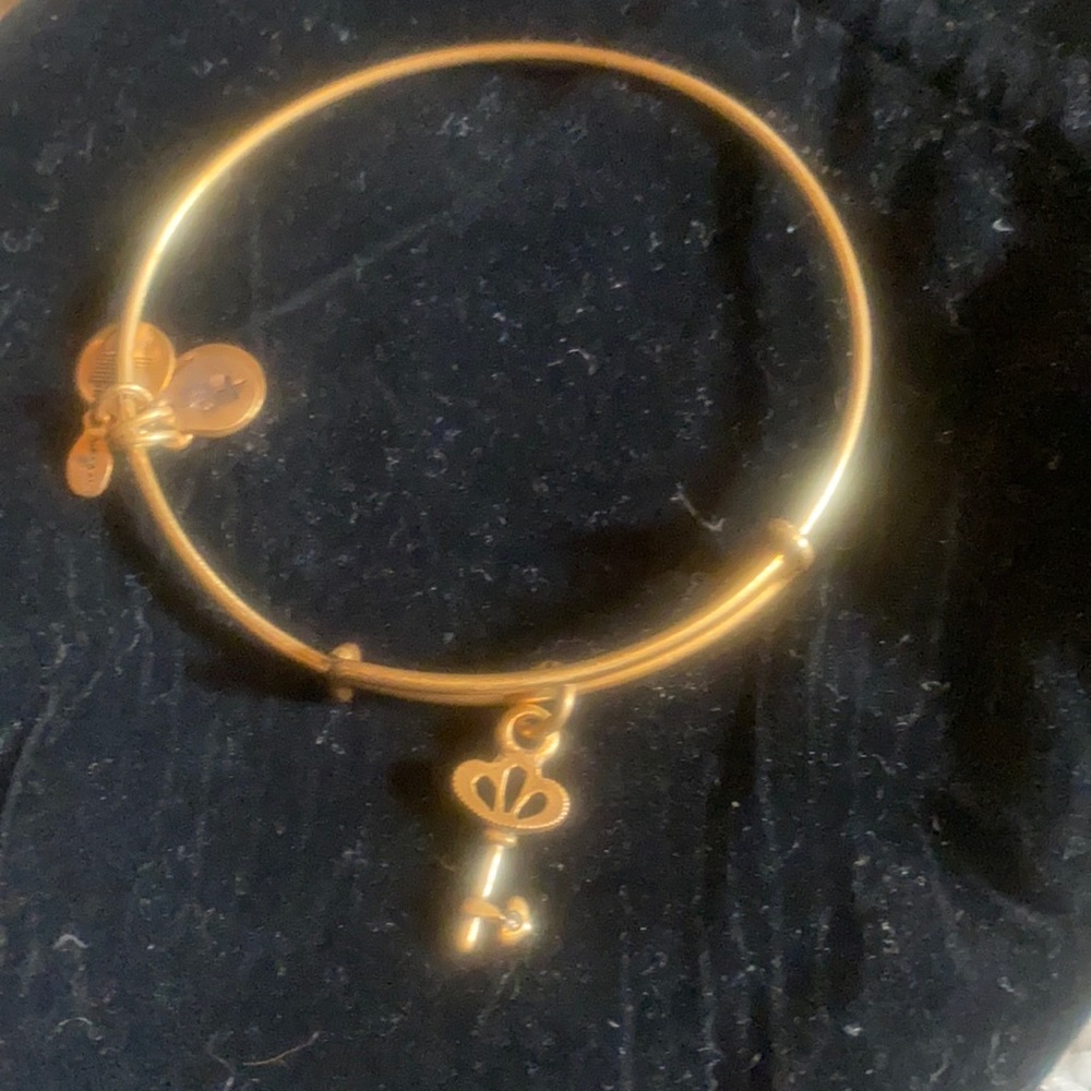 Alex and Ani Bracelet